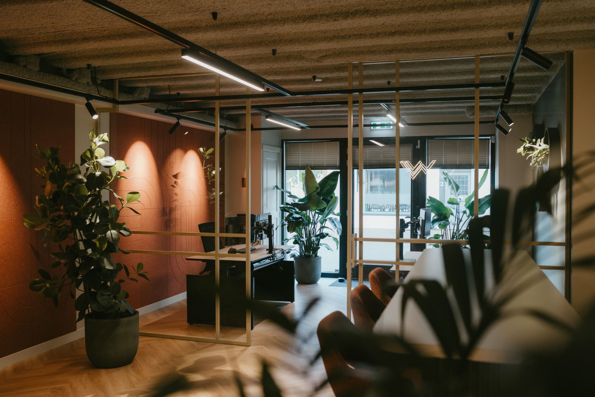 Top 5 trends met PET-vilt